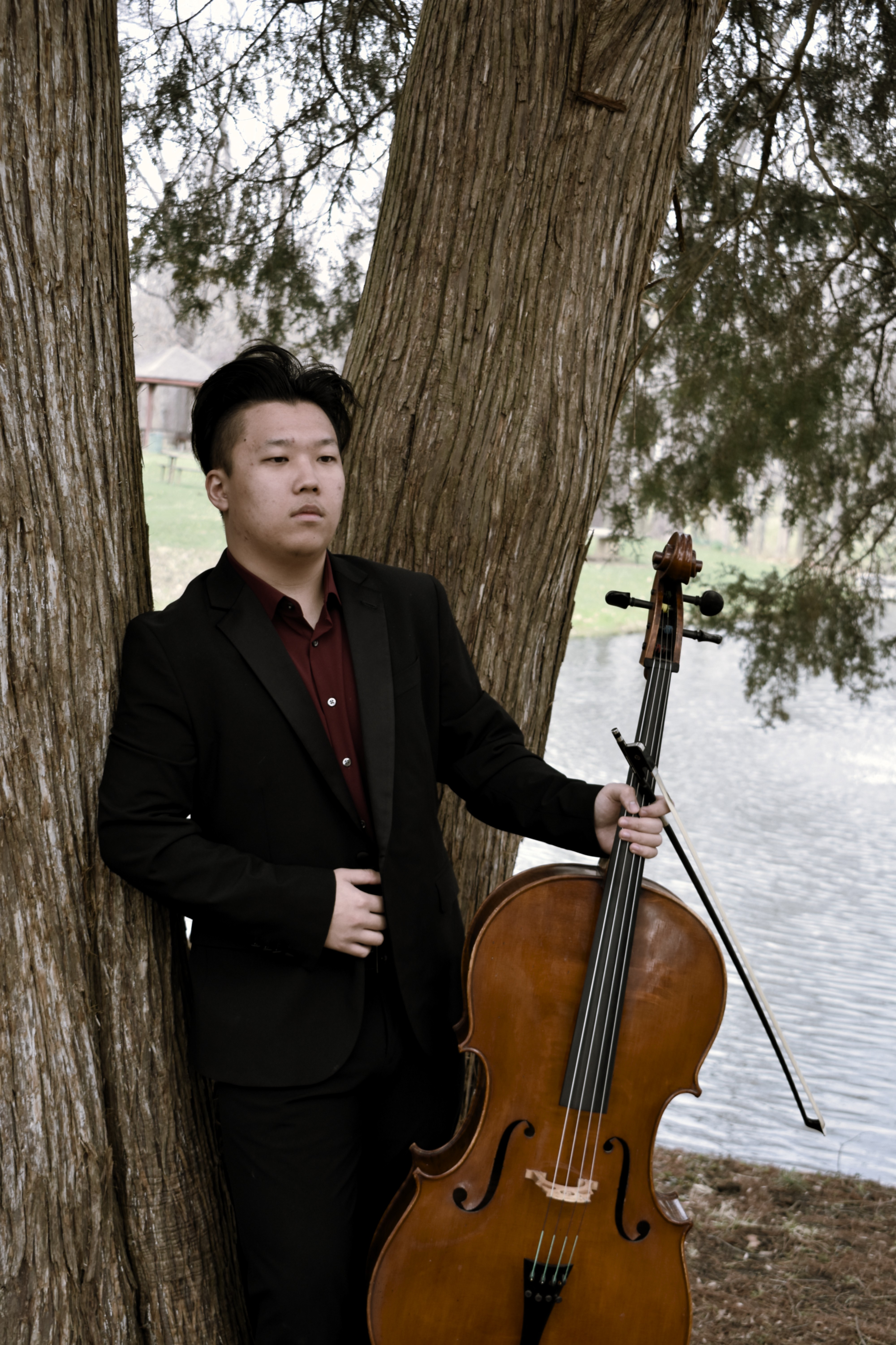 Standing Cello Portrait Outdoors by Tree
