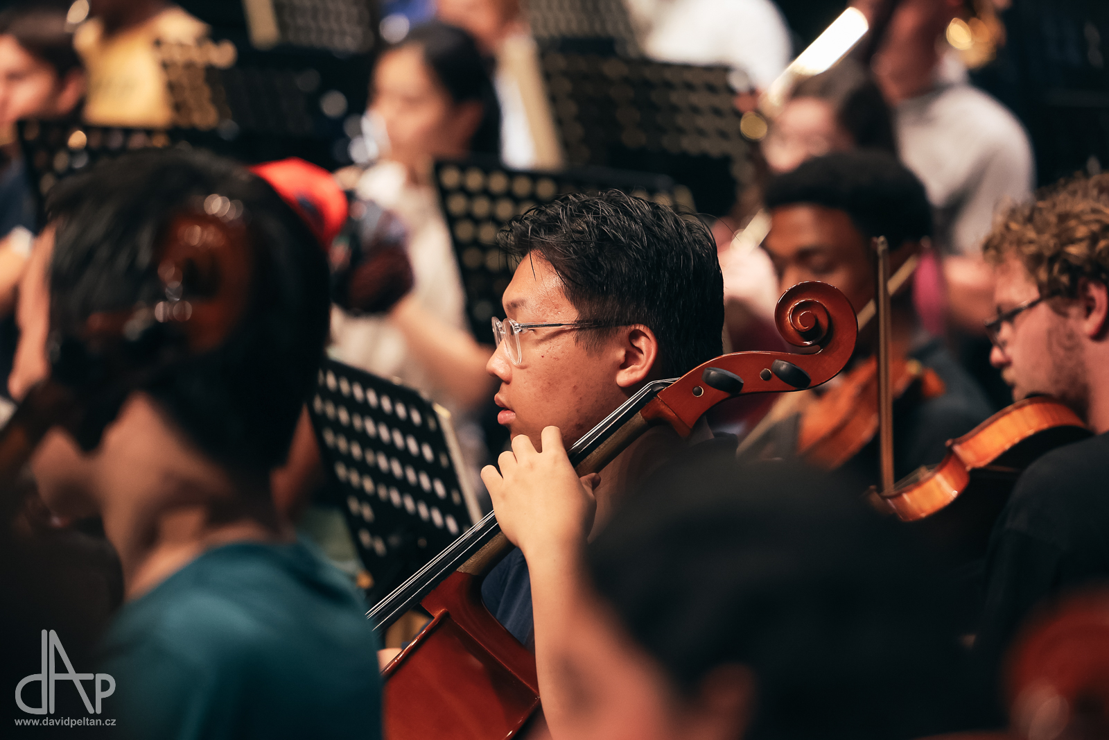 Orchestra Cello Section Performance